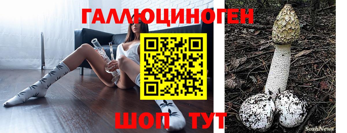 Галлюциногенные грибы прущие грибы  Вход с VPN  Кубинка  Псилоцибиновые грибы Cubensis 